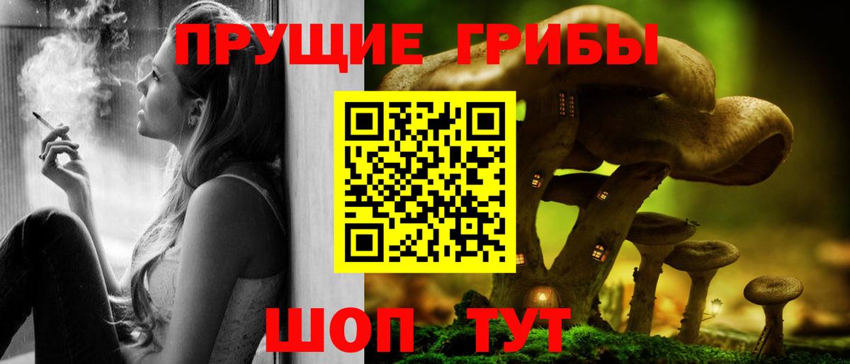 Мурино  Псилоцибиновые грибы Psilocybe  Вход с VPN 